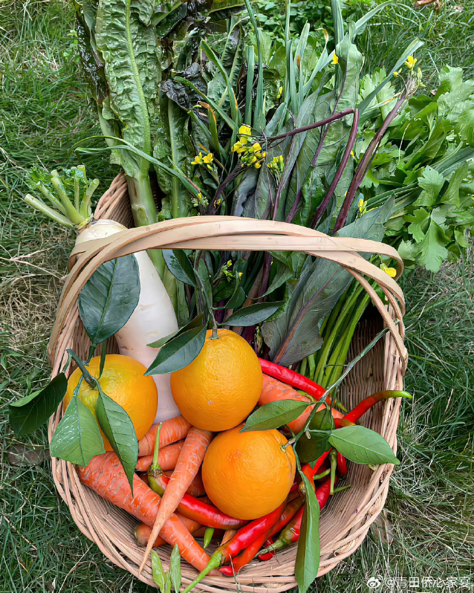 GerardRuskpp's tweet photo. Just grabbed the freshest local veggies and organic eggs for this week's meals  No fancy stuff, just good quality ingredients to keep my cooking simple and delicious. https://t.co/r2nD1sc4rq