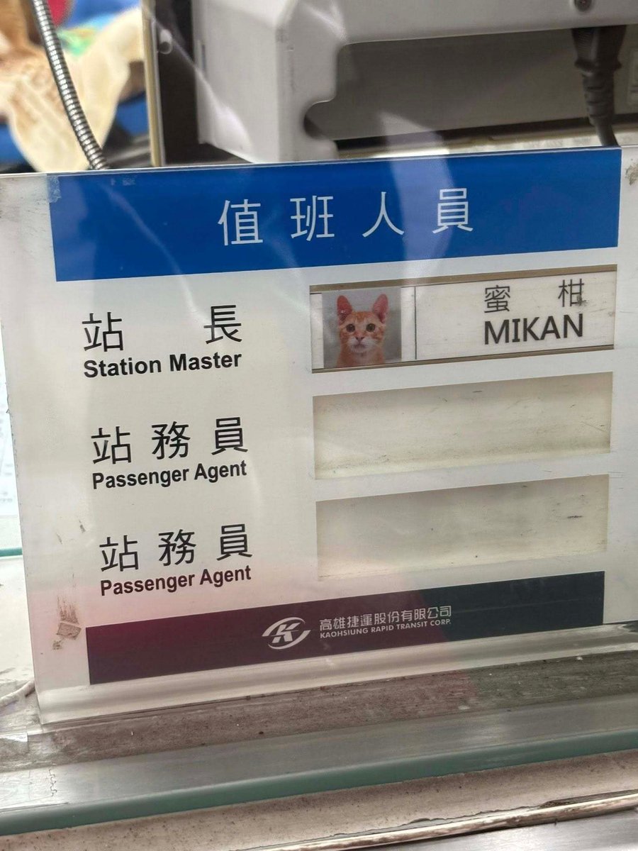 CatWorkers's tweet photo. Station Master Mikan. 🚃 https://t.co/EfxoNNSDv9