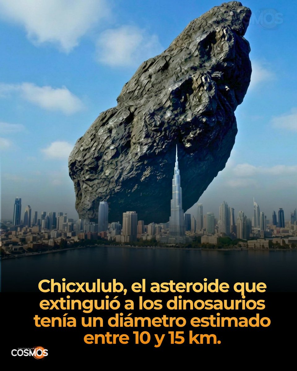 cecosmos_'s tweet photo. El asteroide de Chicxulub impactó hace unos 66 millones de años en la península de Yucatán, México, con un diámetro estimado de entre 10 y 15 km. Viajaba a decenas de miles de kilómetros por hora y liberó una energía equivalente a miles de millones de bombas atómicas, formando un cráter de entre 150 y 180 km de diámetro, hoy parcialmente sumergido bajo el mar y sedimentos.

El impacto generó efectos inmediatos devastadores: incendios masivos por la onda de calor, terremotos, tsunamis gigantescos y una expulsión de roca vaporizada y azufre hacia la atmósfera. Esa nube de partículas bloqueó la luz solar durante meses o años, provocando un enfriamiento global y deteniendo la fotosíntesis, lo que colapsó las cadenas alimenticias en todo el planeta.

Esta cadena de eventos causó la extinción masiva del Cretácico-Paleógeno, eliminando cerca del 75% de las especies existentes, incluidos todos los dinosaurios no aviares. Su desaparición dejó nichos ecológicos vacíos que permitieron la posterior diversificación y dominio de los mamíferos, un proceso evolutivo que eventualmente llevó a la aparición de los humanos.