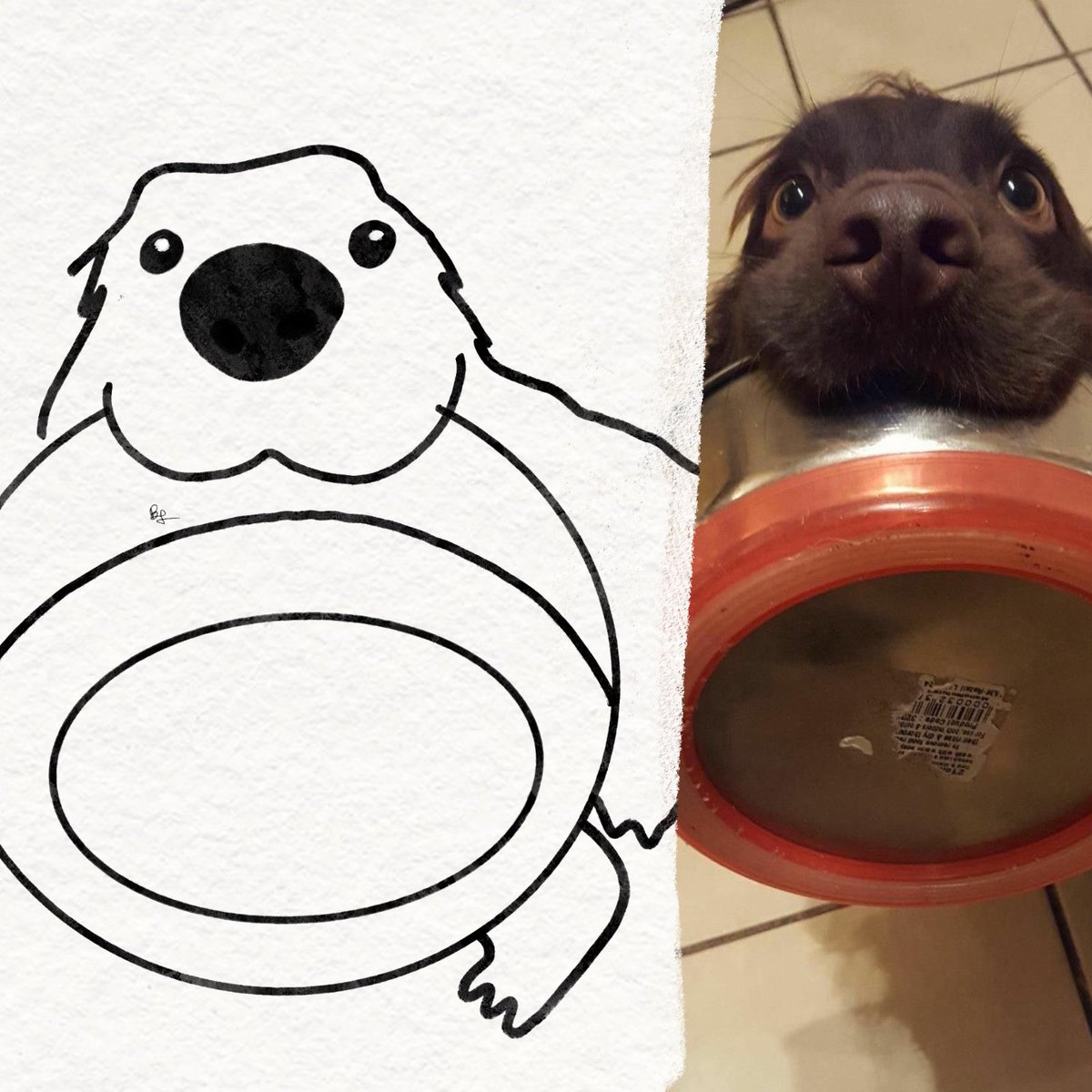 twaniimals's tweet photo. https://t.co/IXeGKf4FyV