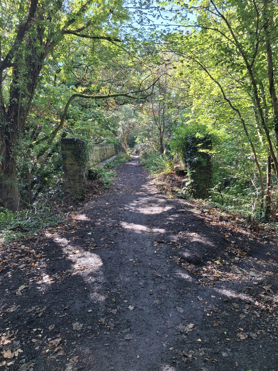 thomas_adderley's tweet photo. The Formour Charnwood Forest Railway Around The Grace Dieu Viaduct. https://t.co/qNS3GzoTSd