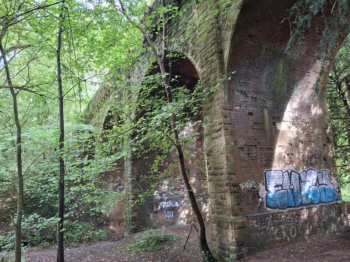 thomas_adderley's tweet photo. The Formour Charnwood Forest Railway Around The Grace Dieu Viaduct. https://t.co/qNS3GzoTSd