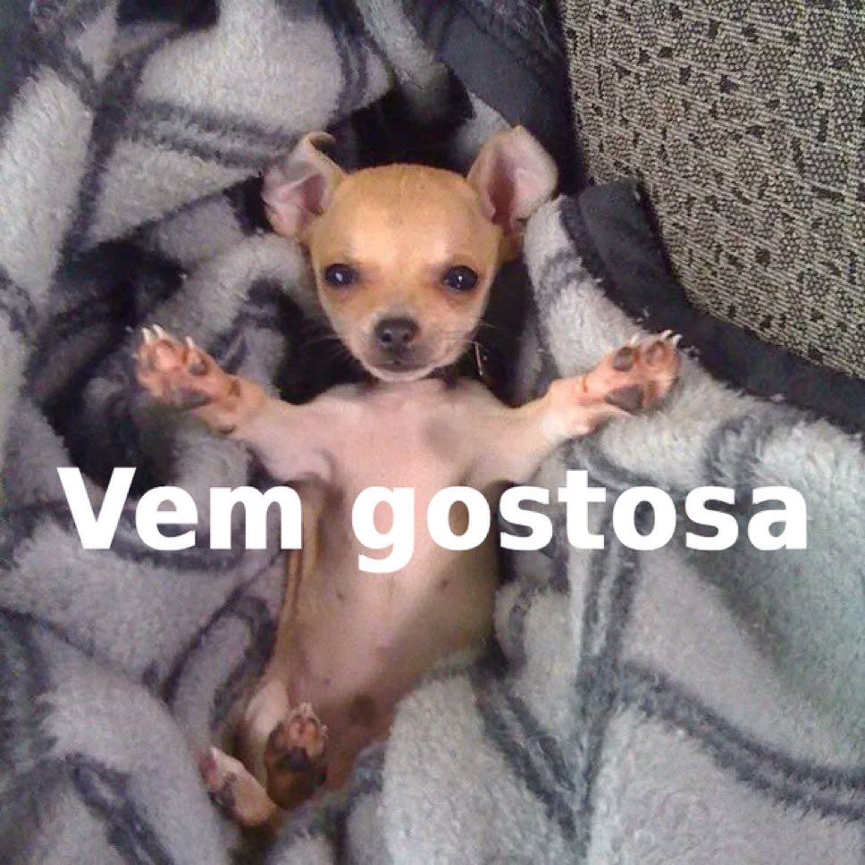 6meperdoa's tweet photo. quando ela te empurra na cama e começa a se despir https://t.co/o9OIPZFHKM