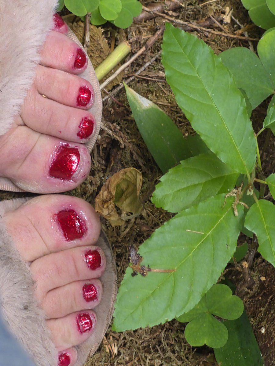 Hillbilly0124's tweet photo. @aiwithaman Like what you see want more can buy on only feet https://t.co/sYP96BbbUq