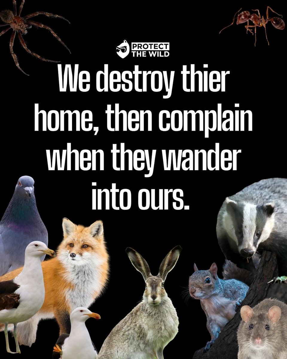 ProtectTheWild_'s tweet photo. Human hypocrisy at its finest! https://t.co/UP5d9Am8Ol