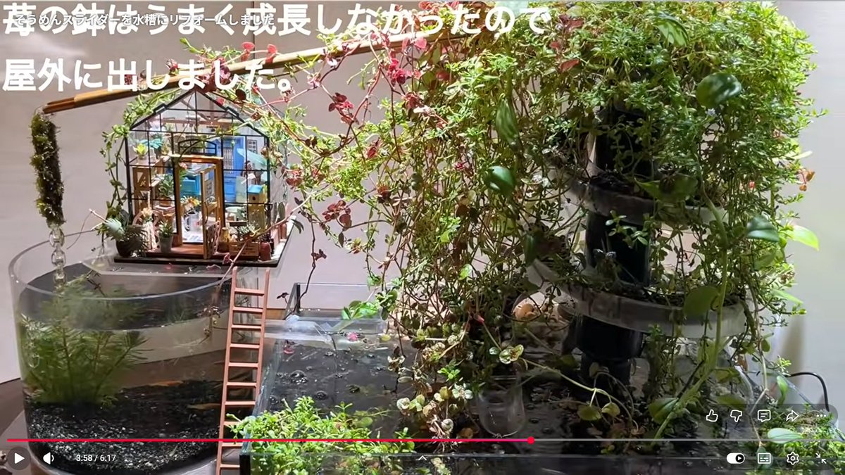 bdqPOHqyk21EVle's tweet photo. 宇宙のすべてを知る「知恵」とはいかなるものなので御座いましょうか。宇宙の究極を網羅する完璧で漏れが無い。諸法実相の智慧。その根本法則が妙法なので御座いましょうか。仏法では不思議の一法と御座います。宇宙の全ての財宝を含む円融円満の円融相即の妙法で御座います。😊☺️🎬🎨📚📖🧬🔬🔭🌌🌌🌌 https://t.co/9C8Rqkr3KO