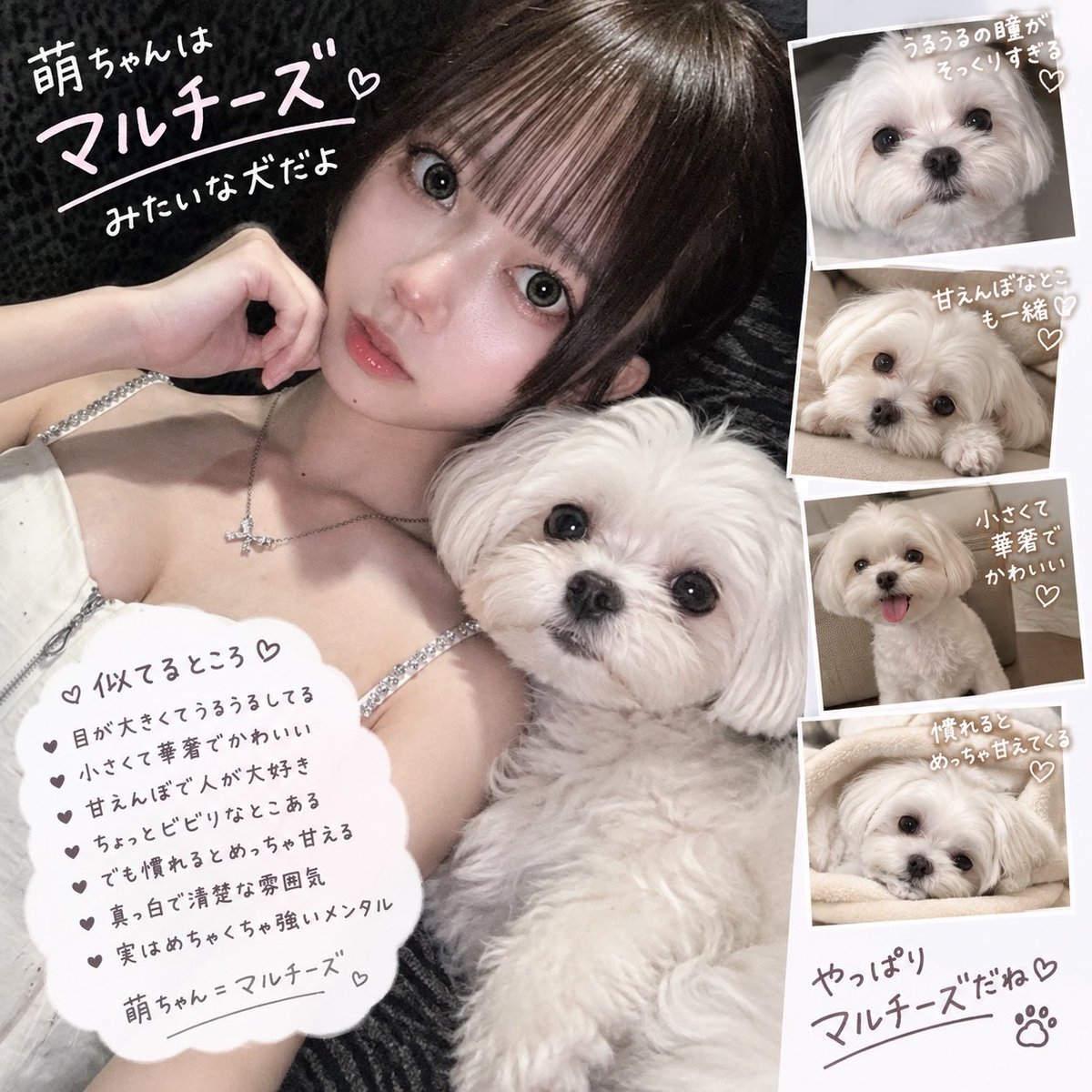 8qoguc's tweet photo. まるちーずらしい^ ܸ.  ̫ .ܸ ^ https://t.co/5a6ufSBwJJ