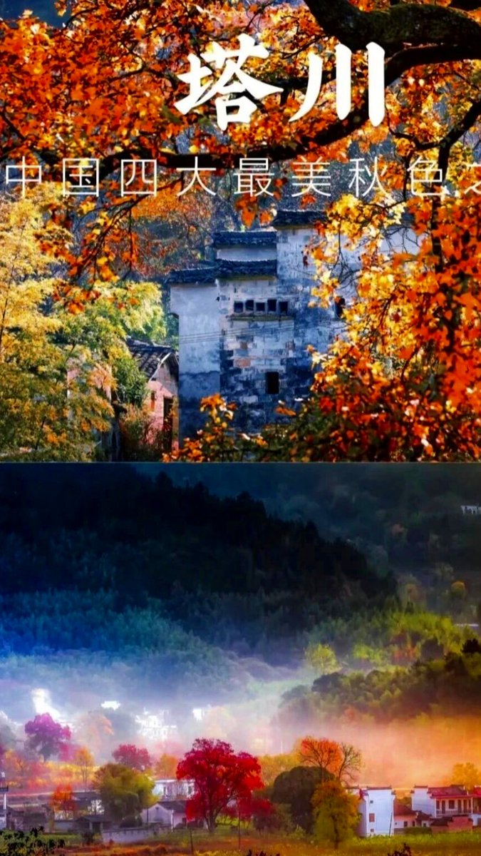 MattBenchofv1's tweet photo. Woke up early, caught the 7:30 train to Kyoto, the autumn maple leaves along the line look like a gentle watercolor painting. https://t.co/mcHV0EvETw