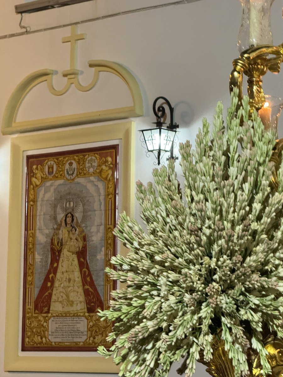 BMlasMercedes's tweet photo. 🔵 ¡Nuestra Señora de Consolación ya está en las calles de Cartaya!

🎶 “Reina, Madre y Capitana”
🎶 “Coronación de la Macarena”

#SuenaLasMercedes https://t.co/EVaU17tFLT