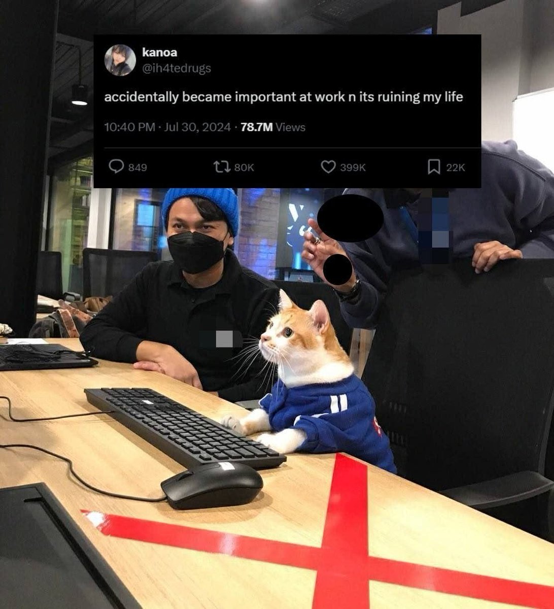 CatWorkers's tweet photo. https://t.co/zQJxhwmuLS