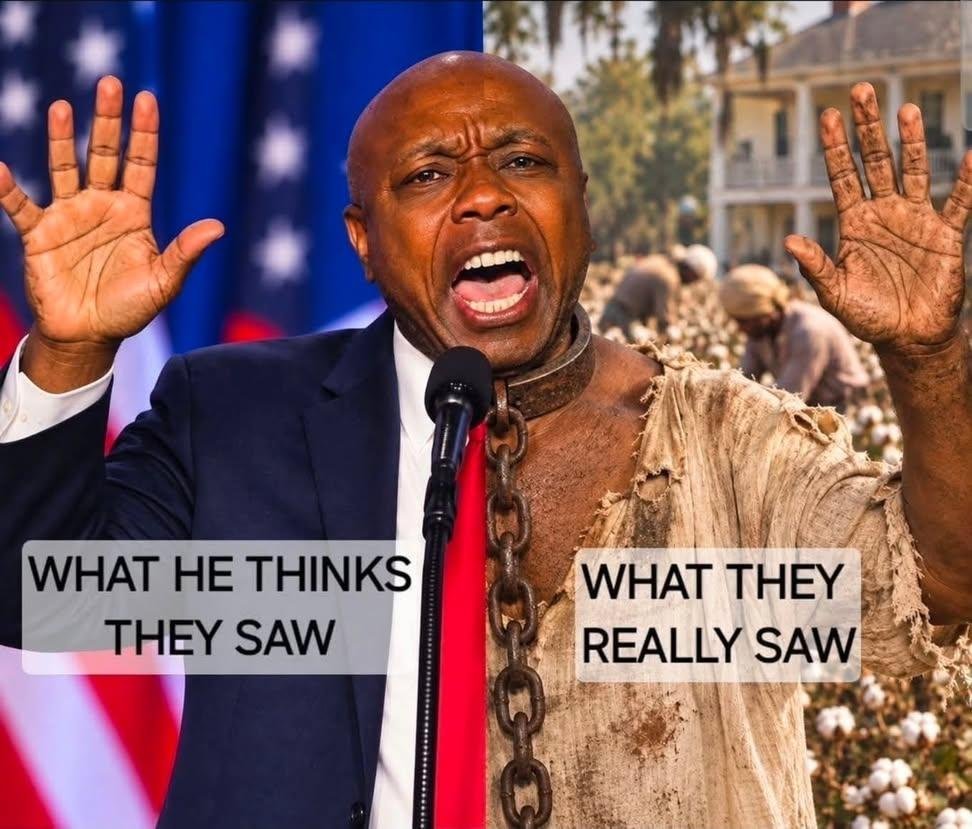 TrueVirgoEnergy's tweet photo. 💯🎯‼️
#BuckDancingSAMBO
#TOBY #UncleRukus #TobyBeGoodNiggaForMassa
#ShuckingAndJivingCoon
#VoteBlueNovember3rd
#BlueTsunami🌊
#Midterms26
VOTE BLUE TO PROTECT AMERICA FROM ILLEGITIMATE POTUS PEDORAPIST @realDonaldTrump , his Cooning SAMBOs & Asskissing, Epstein Pedo Regime https://t.co/PV08prXgXc