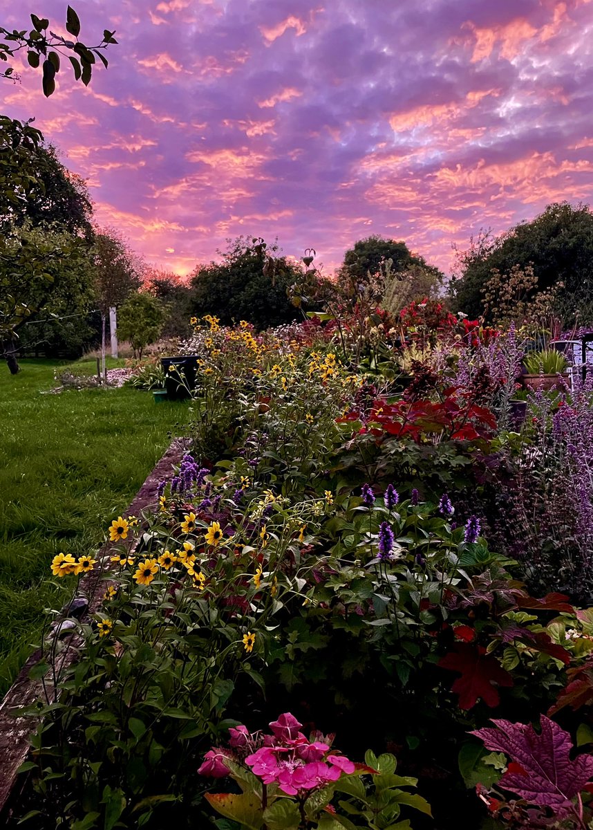 ZwartblesIE's tweet photo. This evening https://t.co/p8sBBdGz5i