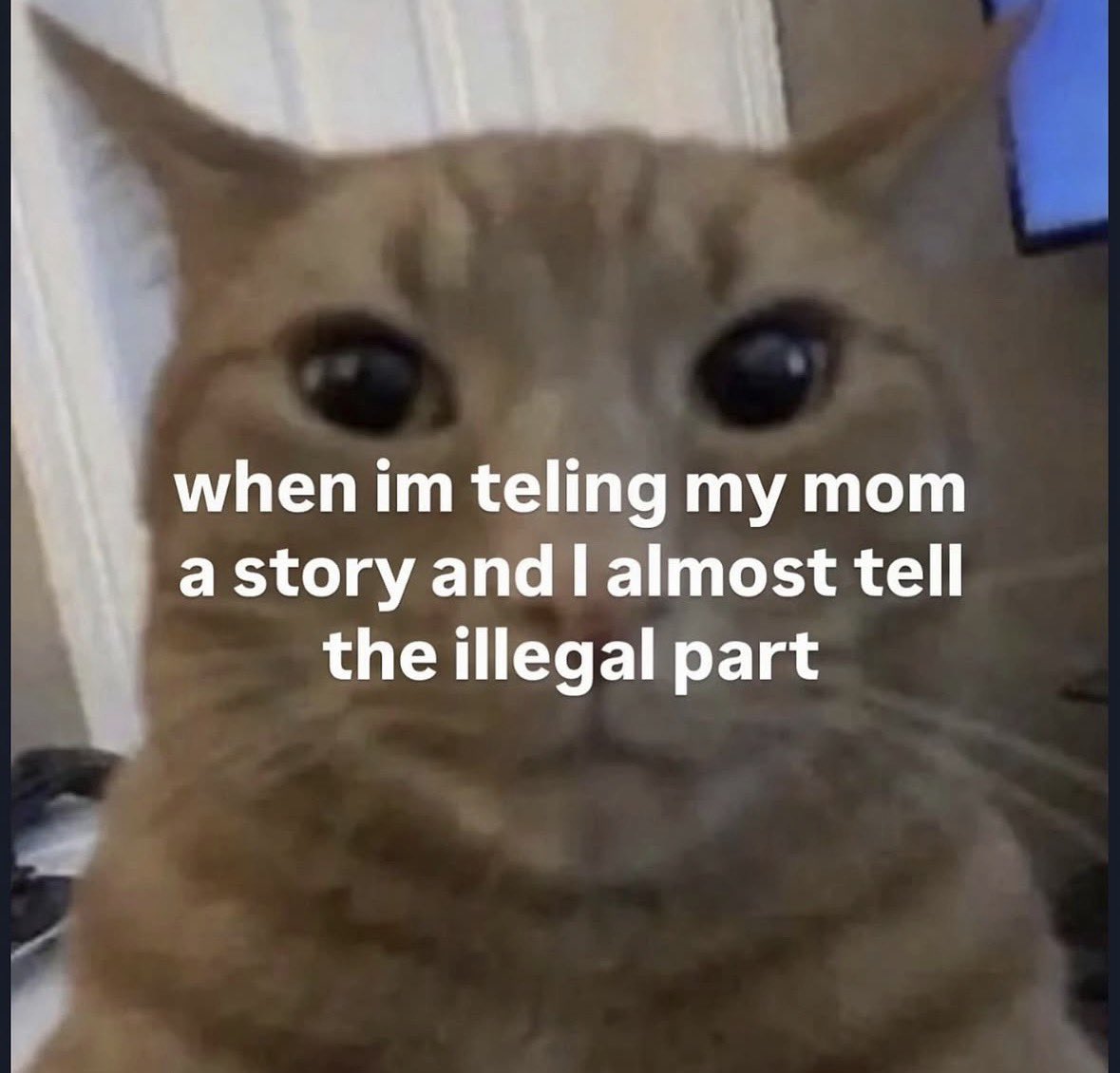 literallymecats's tweet photo. https://t.co/Bklih3rQn3