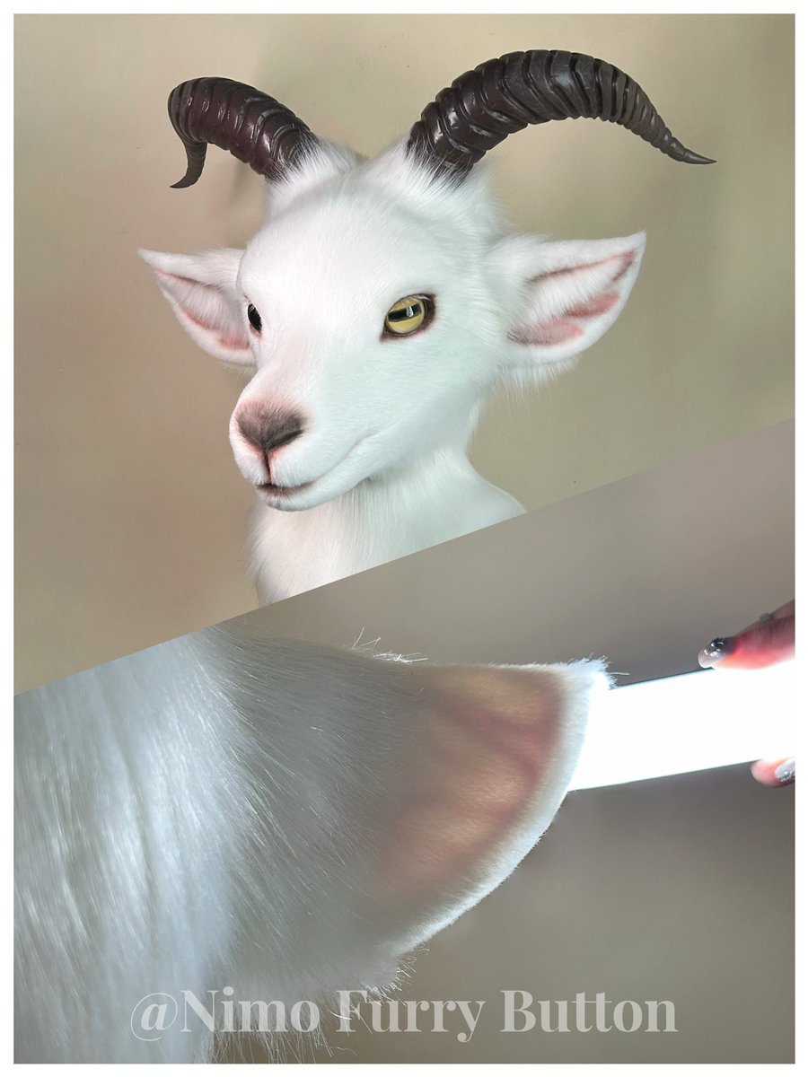 Nimo1122_'s tweet photo. Hyper-realistic goat! You can see the veins inside the ears when light shines through them
#goatfurry #goatfursona #goatkemono #furryart #furryoc #originalcharacter #furryartist #kemono #獣人 #ヤギ獣人 #ケモノ #オリジナル獣人 https://t.co/j8xMwPBa68