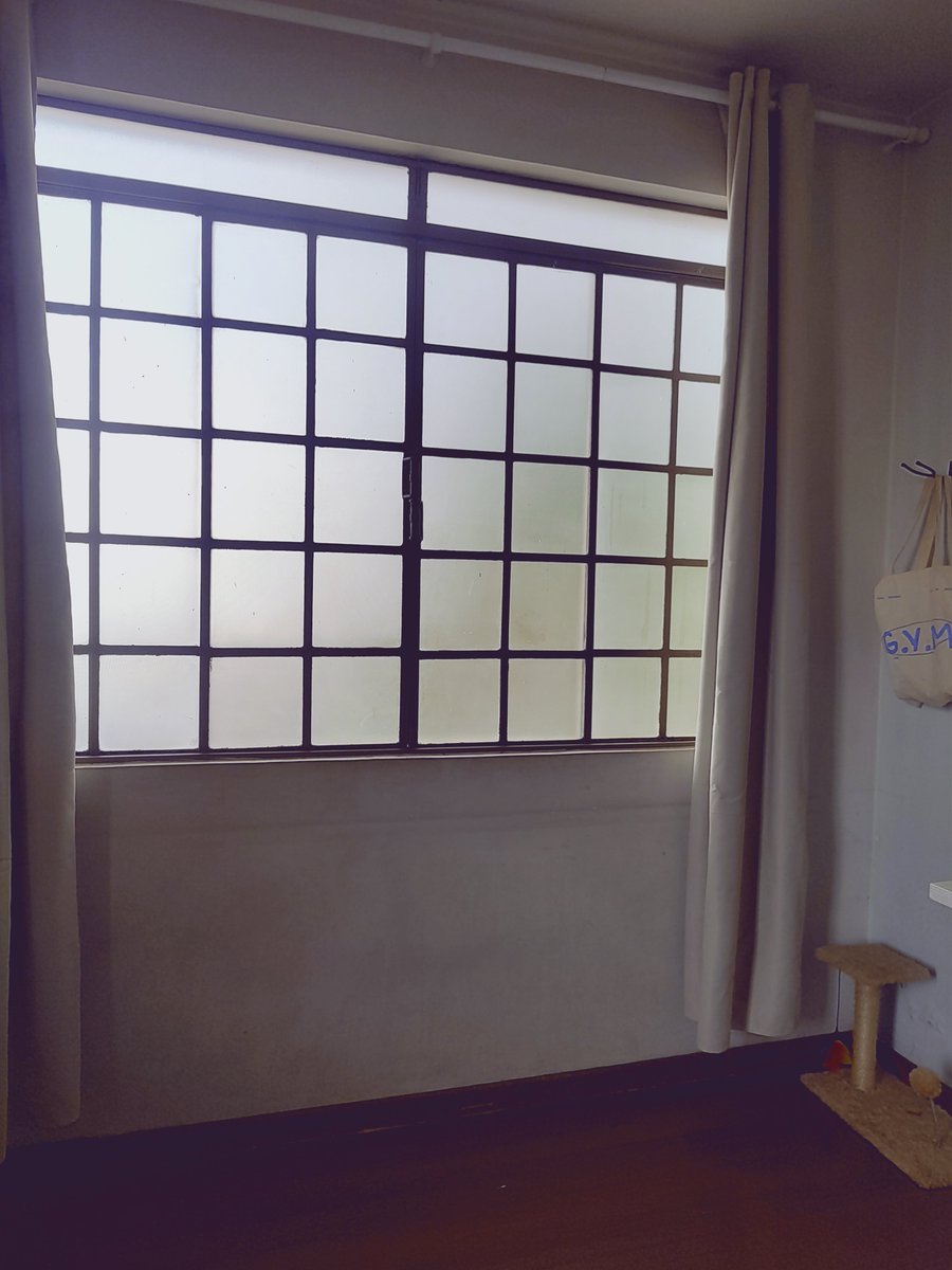 leleehwjisung's tweet photo. #quartotwt https://t.co/rxjQR967Of
