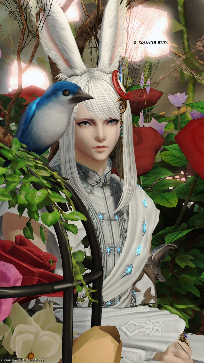 dg_ucl's tweet photo. 𝐺𝑜𝑜𝑑 𝑚𝑜𝑟𝑛𝑖𝑛𝑔︎🌹
#FF14 #おはウサ https://t.co/hbZk2ZJPPH
