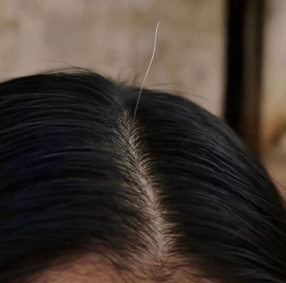 cornulda's tweet photo. - yo: aferrándome a la juventud

*mis canas levantando bandera* https://t.co/jEA3f9ary2