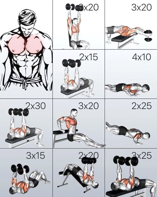 Daily_physique's tweet photo. Complete Chest Workout. https://t.co/iEUYUGJc4S