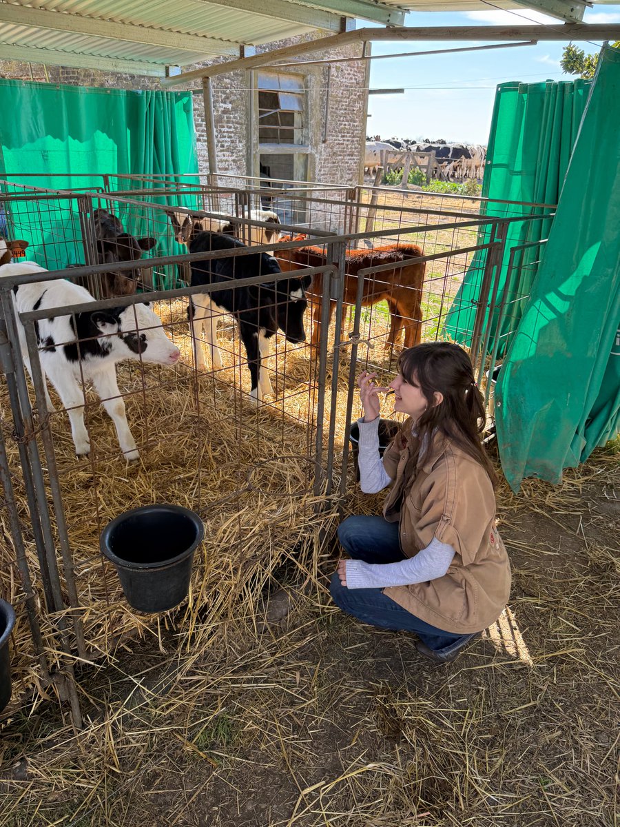 palomamprats's tweet photo. vacas https://t.co/NFY54EKg1I