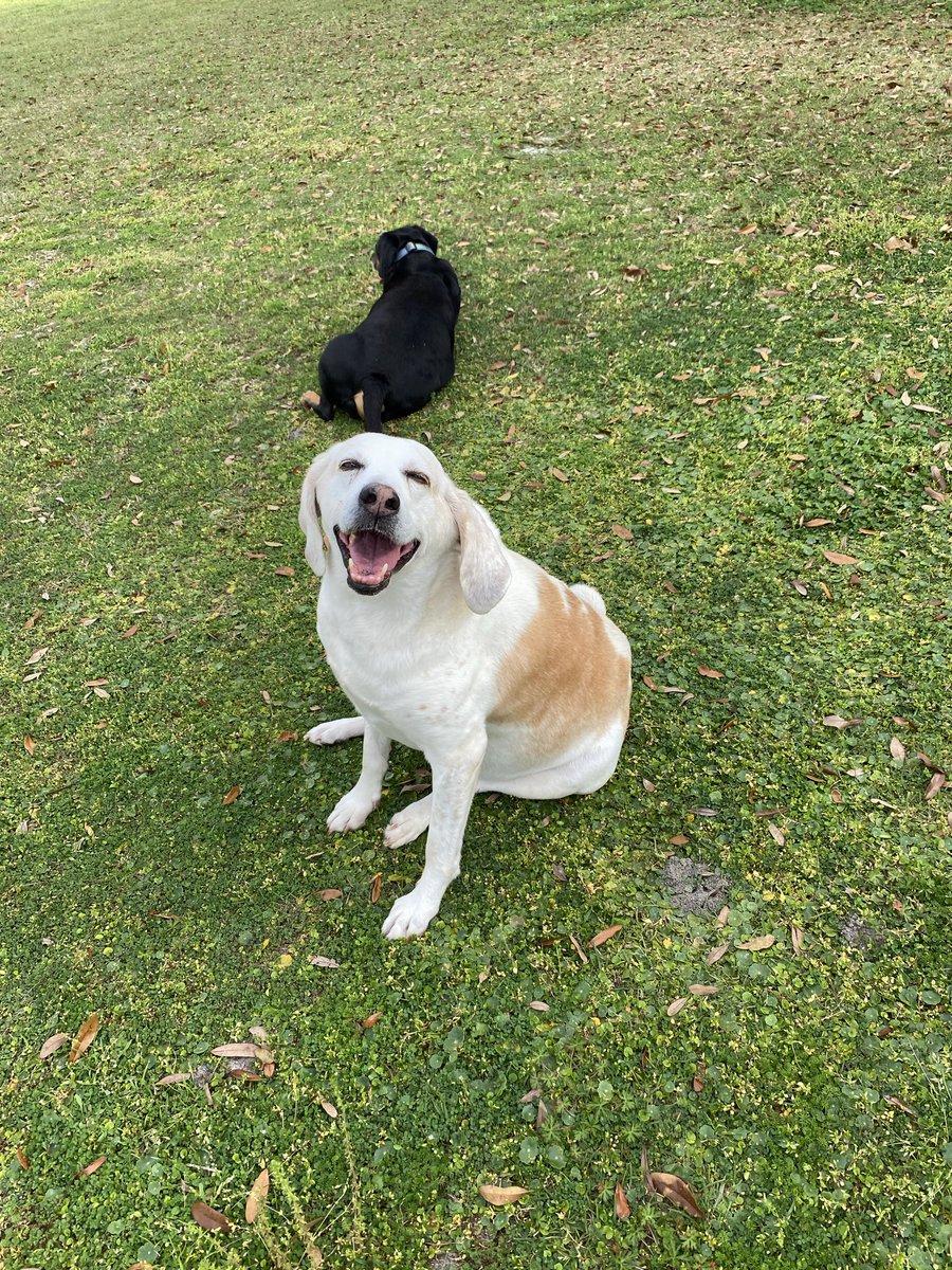 catturd2's tweet photo. What a blessing I was given for Smiles to have a son that is his spitting image and exactly like him. Everyday when I see Wiggles, I see Smiles. 

Again, what a gift. ❤️ https://t.co/eoVixzihgt