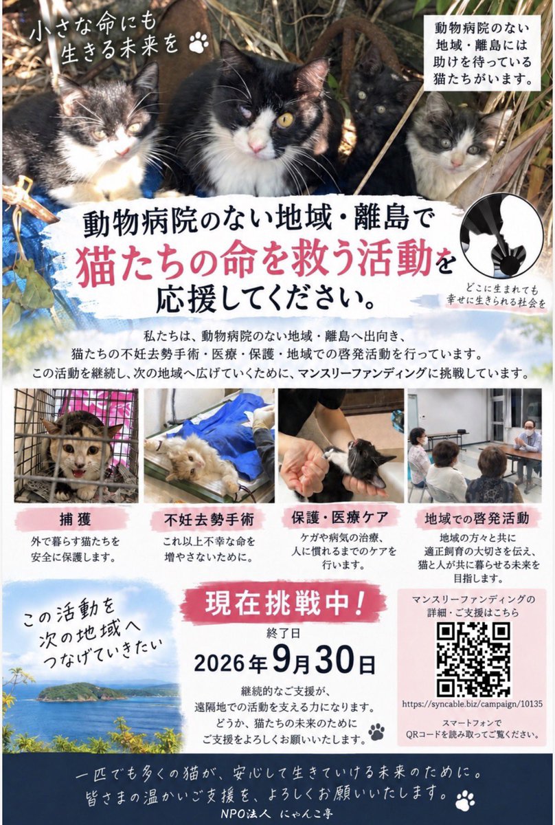 tokyo_shelter's tweet photo. 【終了日🐱９月３０日‼️】
NPO法人にゃんこ亭マンスリーファンディング挑戦中です‼︎🐱❤️‍🔥

活動を一緒に応援、見守って頂ける仲間を大募集中です✨

少しずつの応援が集まると大きな力となります！

不幸な猫を無くすため、ぜひにゃんこ亭の仲間になってください💪🐱✨
https://t.co/9aNlkruRGG https://t.co/kFrIkbC9Qu