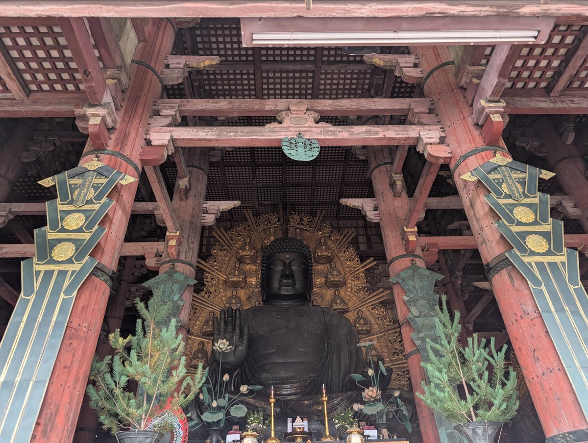 kamimura_nami's tweet photo. 真珠の耳飾りの少女展行くついでに（？）京都奈良大阪巡ってきた！
奈良初めて行ったけど、奈良駅周辺あんなに鹿がどこにでもいるとは思わなくてビックリ笑
楽しかった🦌
歴史的建造物いっぱい見た！修学旅行みたいな旅！
美味しいものもいっぱい食べて大満足旅でしたー！ https://t.co/cQofH8lCRv