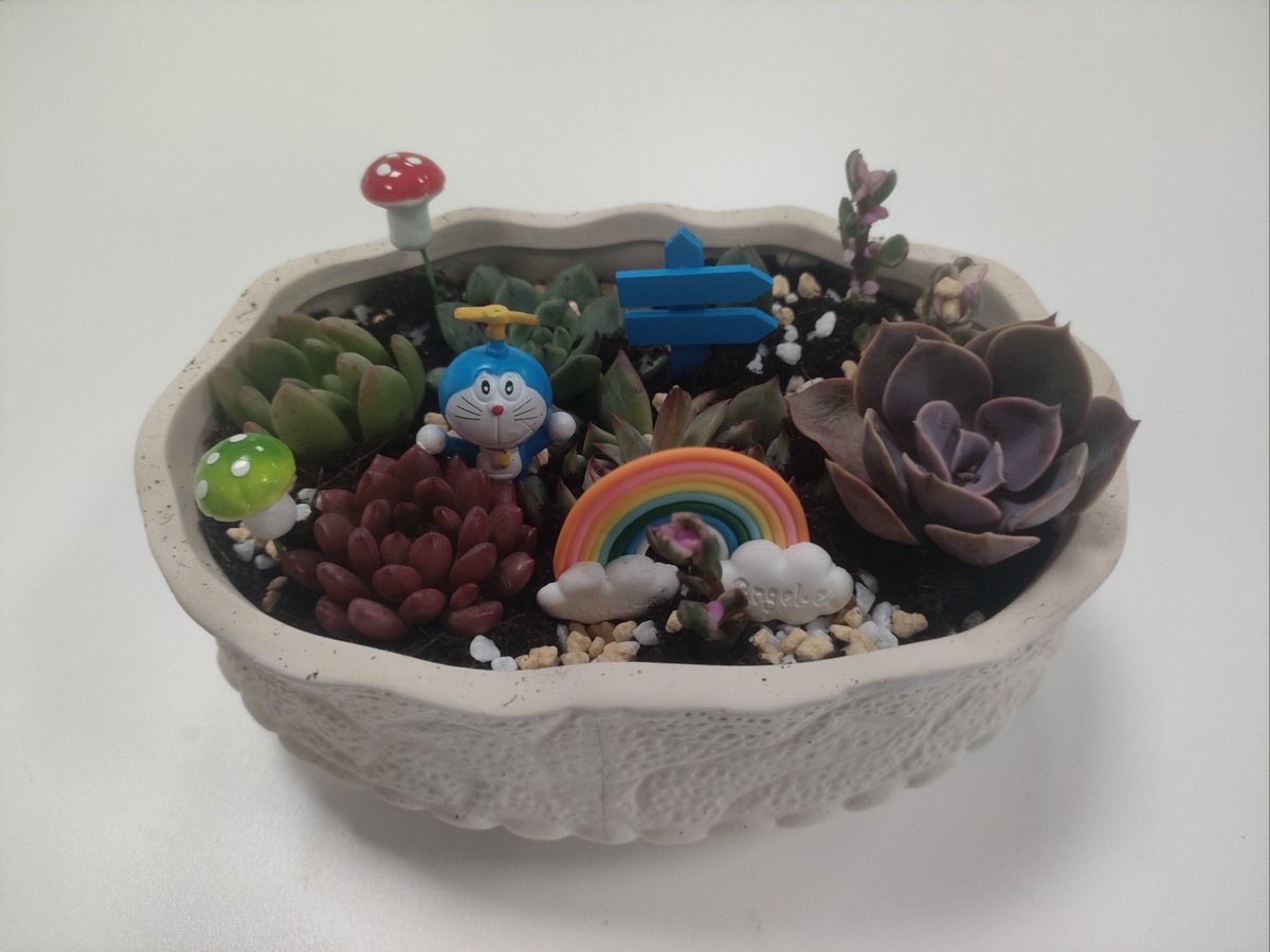 AdrianeBiley's tweet photo. Just transformed an old glass jar into a cute succulent planter with acrylic paint and some googly eyes! Upcycling at its finest https://t.co/ZfhDQ49d5U