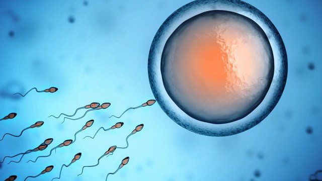 LifeNewsHQ's tweet photo. Survey Asked 5,577 Biologists When Human Life Begins. 96% Said Conception https://t.co/OqbQHiD8lM https://t.co/JpOMUOs2xK