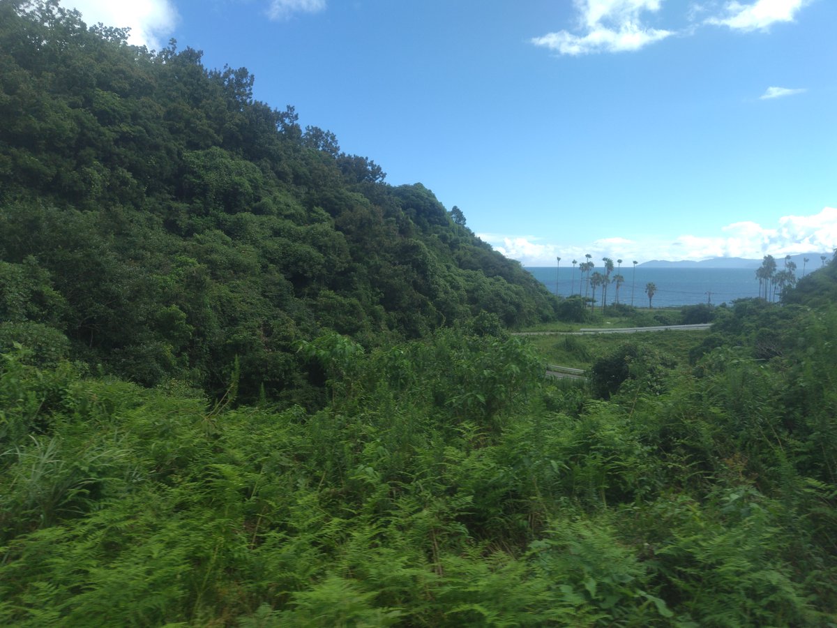 mlit_osumi's tweet photo. 志布志駅から #日南線 に乗ってみました。日南線に並行して #東九州自動車道 の一部となる油津・夏井道路を建設しています。途中、車窓から工事現場を見ることができます。
串間まで列車で２５分、油津まで１時間１５分、志布志発パークアンドライドで休日を過ごすのもおすすめです。 https://t.co/t2cMZHZLlK