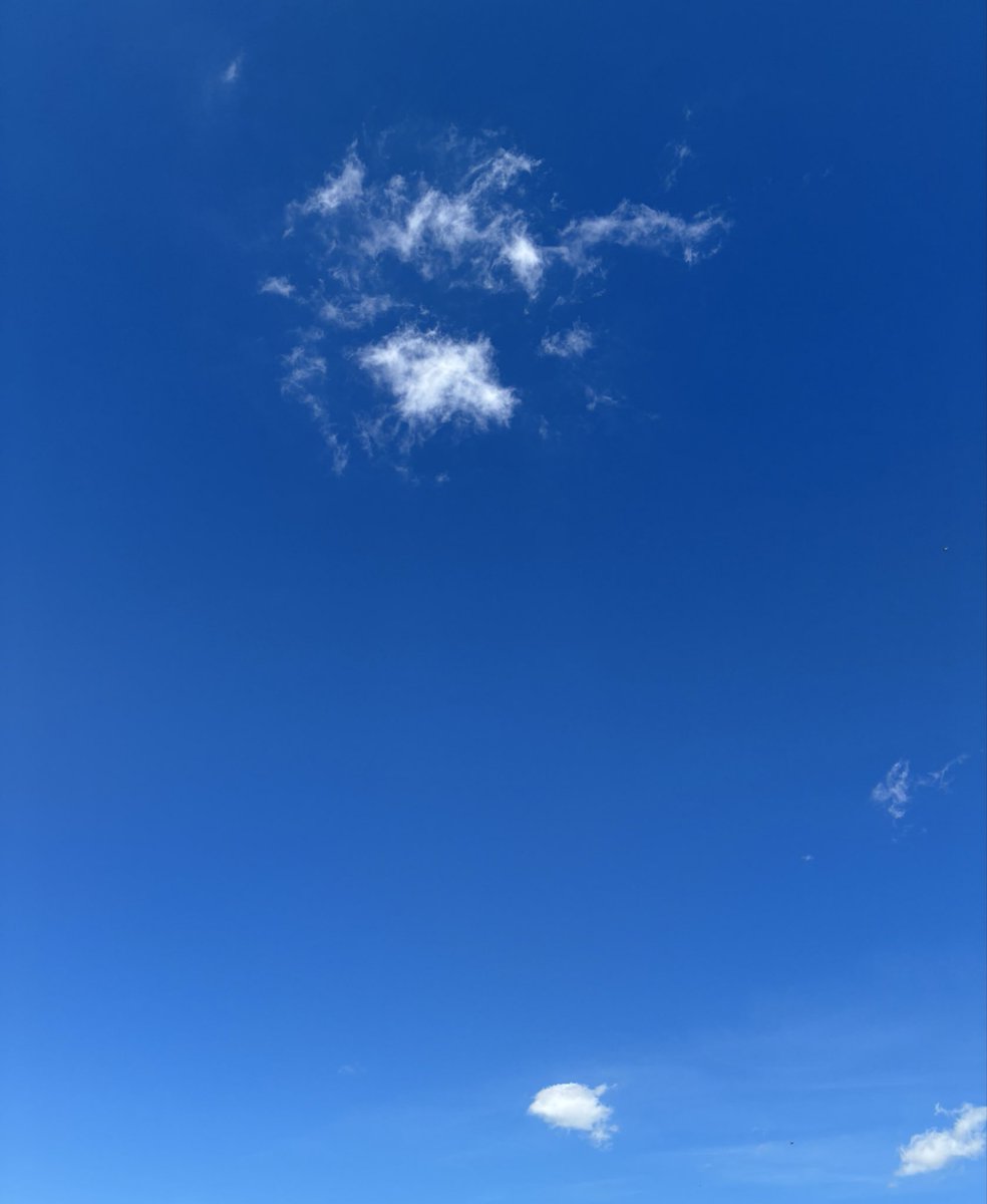 skzw_tm's tweet photo. 久しぶりの青空☀️ https://t.co/xOe9YSnMj3