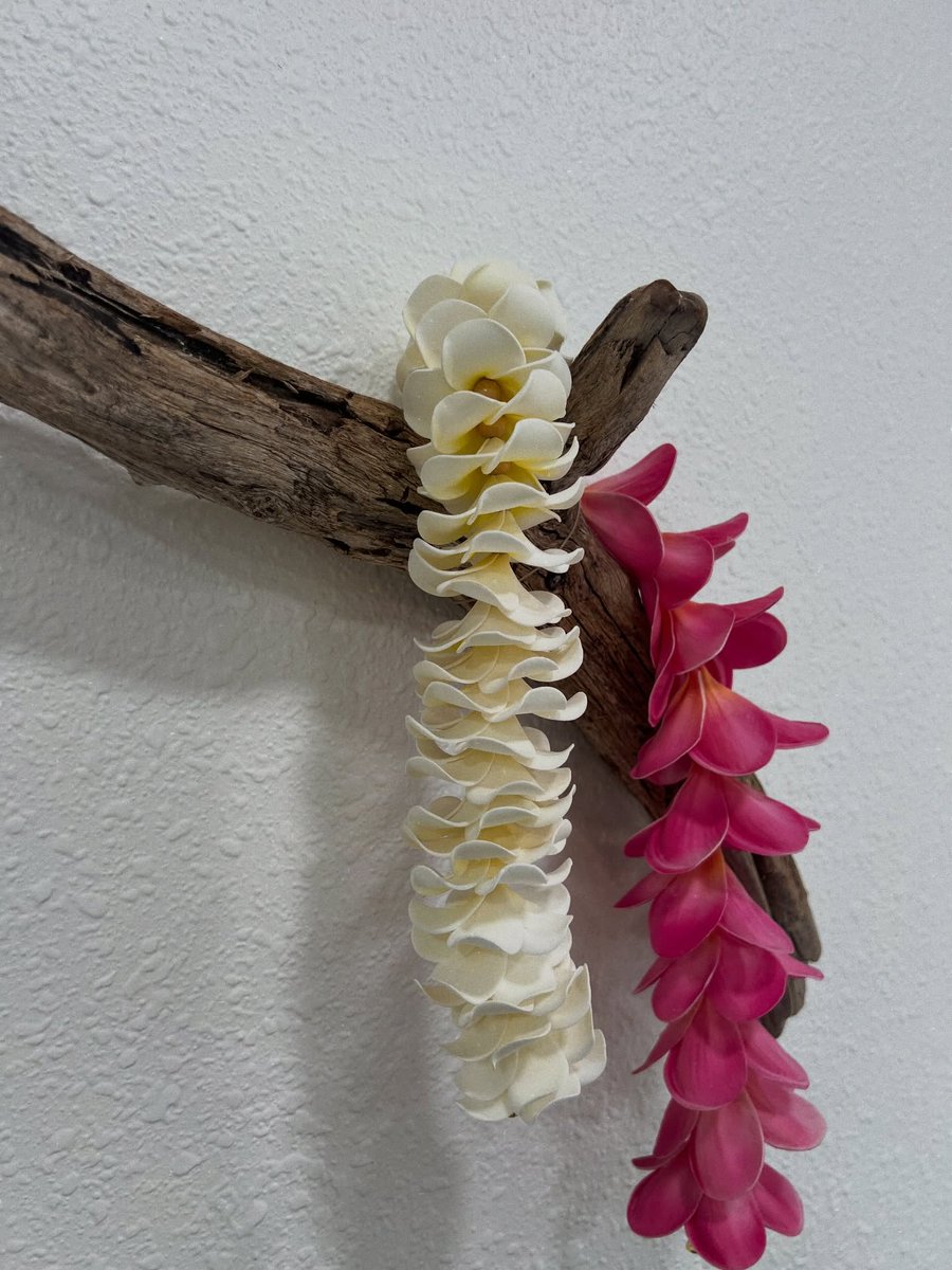 MercerTyro82690's tweet photo. Lei all day

Our magnetic Car Leis attach to anything, so you can decorate your home with everlasting plumerias that never wilt. Find the HAWAI‘I Full Plumeria Car Lei in our bio. https://t.co/bE1h9YOw8J