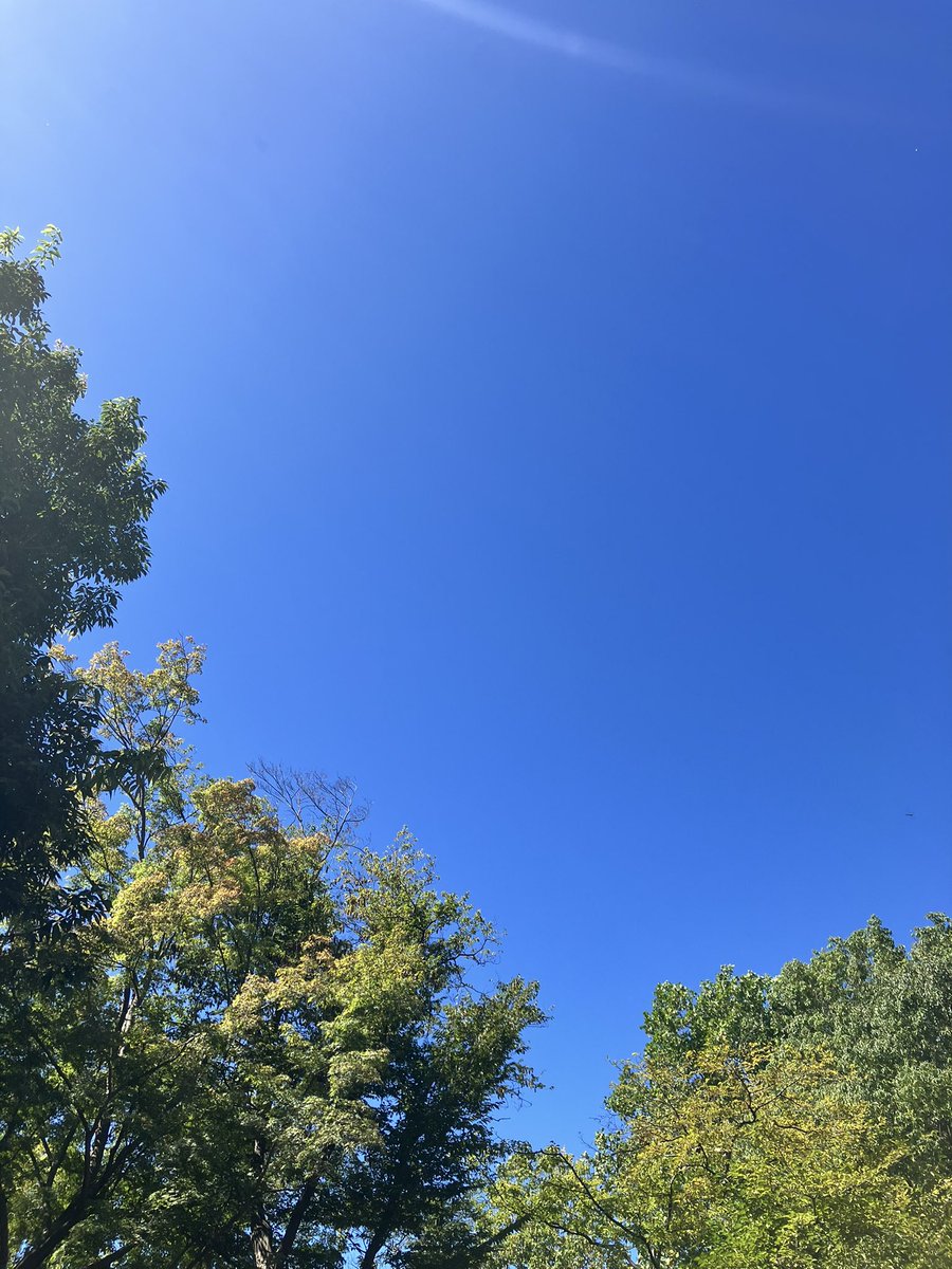 kai0010's tweet photo. おーい青空。

久しぶり！ https://t.co/pszNHSjxG9