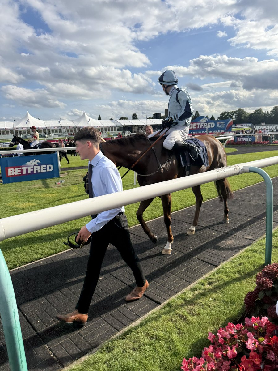 Crazyg07231486's tweet photo. Tiva @omeararacing @DoncasterRaces 

WINNER 🥇🐎 https://t.co/dR7CNqWae1