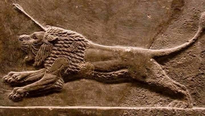 GilgameshIQ's tweet photo. جدارية اشورية تظهر اسد اصيب بسهم من نينوى شمال العراق القرن السابع ق.م 

An Assyrian mural showing a lion hit by a arrow from Nineveh in North Iraq the 7th century BC https://t.co/lRKroKsjkY