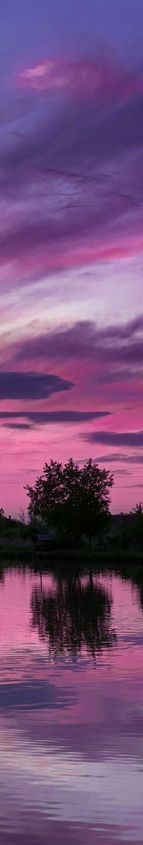 gardenofcolours's tweet photo. https://t.co/MCn60nl2HJ