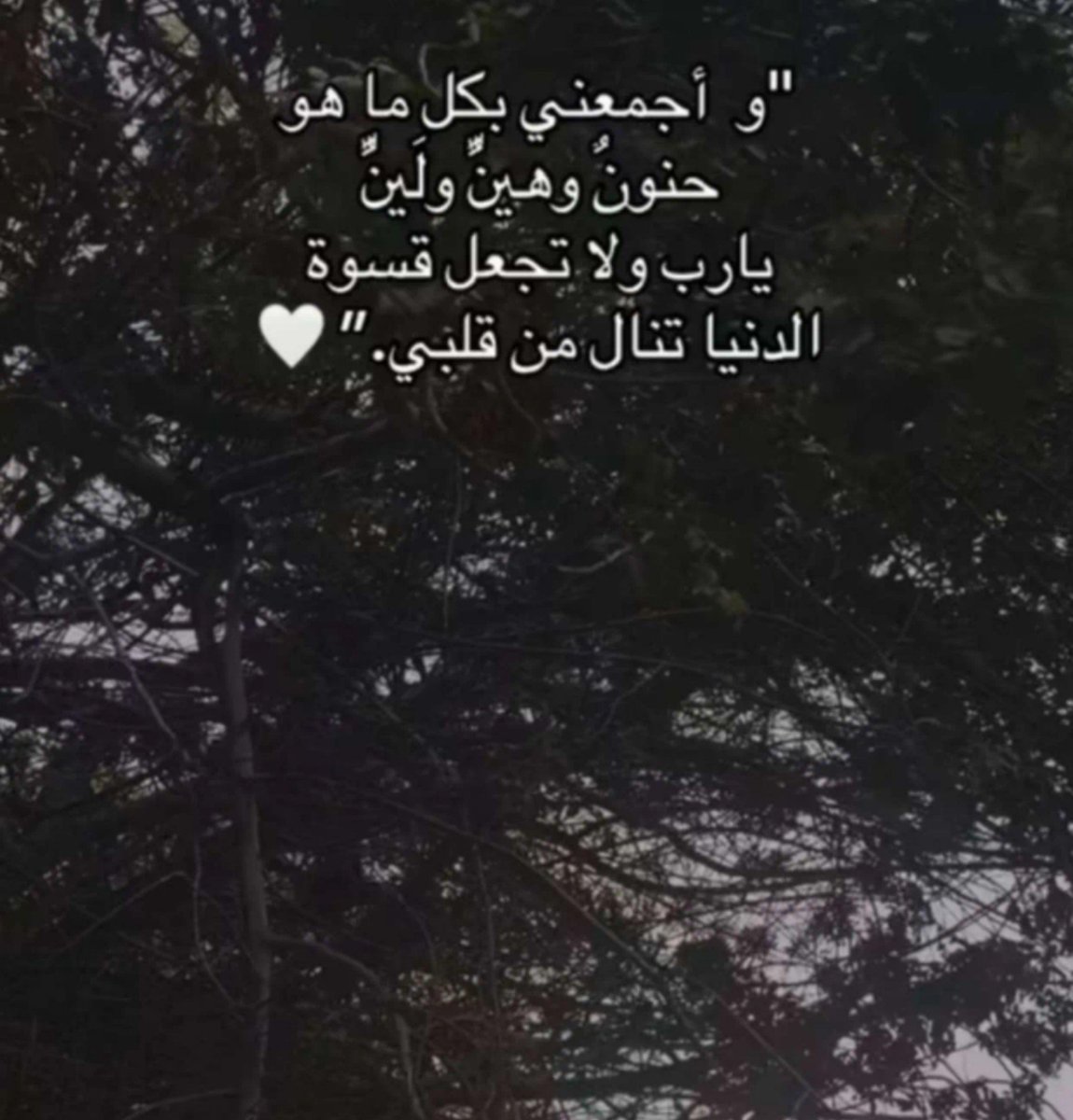 labeaba1's tweet photo. https://t.co/ceT810n8HP