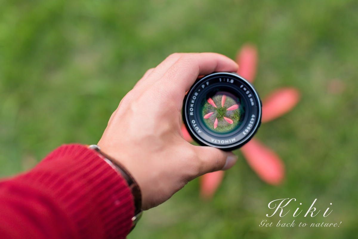 jojaewan13's tweet photo. Para principiantes de fotografía: juega con la luz natural y captura momentos pequeos, la magia está en lo simple! https://t.co/YwGaZSS5SD