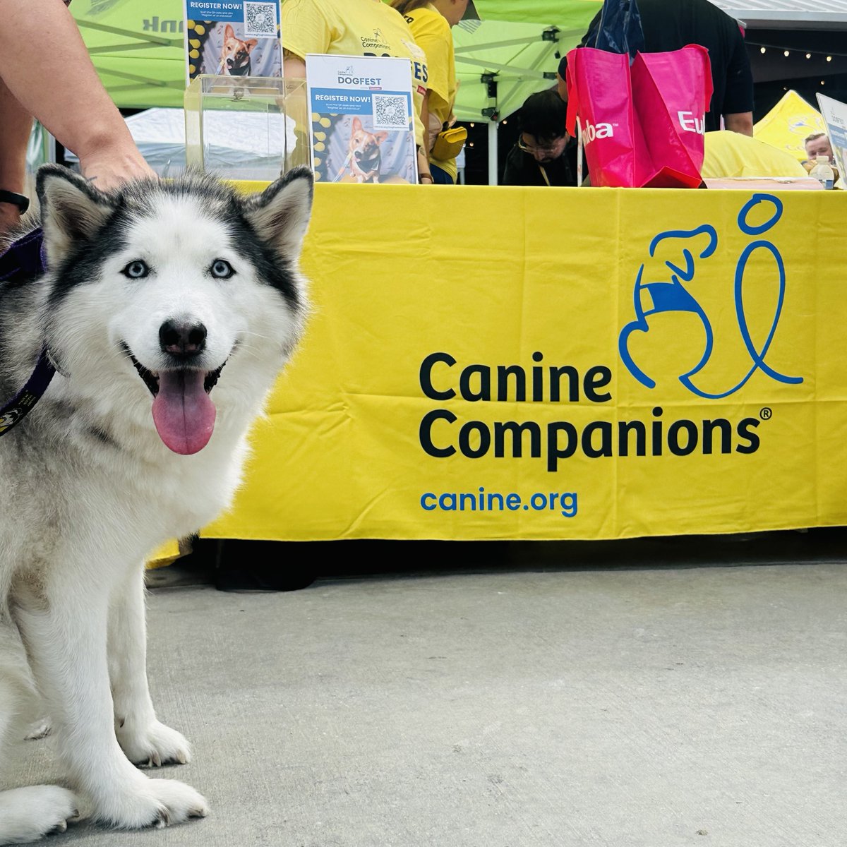 krbe's tweet photo. DogFest Houston 2026 is a wrap! ๐
Thank you to Big Dog sponsor @HuntingtonBank and everyone who joined us at Saint Arnold Brewing Company! ๐๐พ
It was a day full of community, fun, and puppy love to support the amazing work @CanineOrg offers. ๐โ๐ฆบ๐
#KRBE #DogFest #Houston https://t.co/TlXZaERDbb