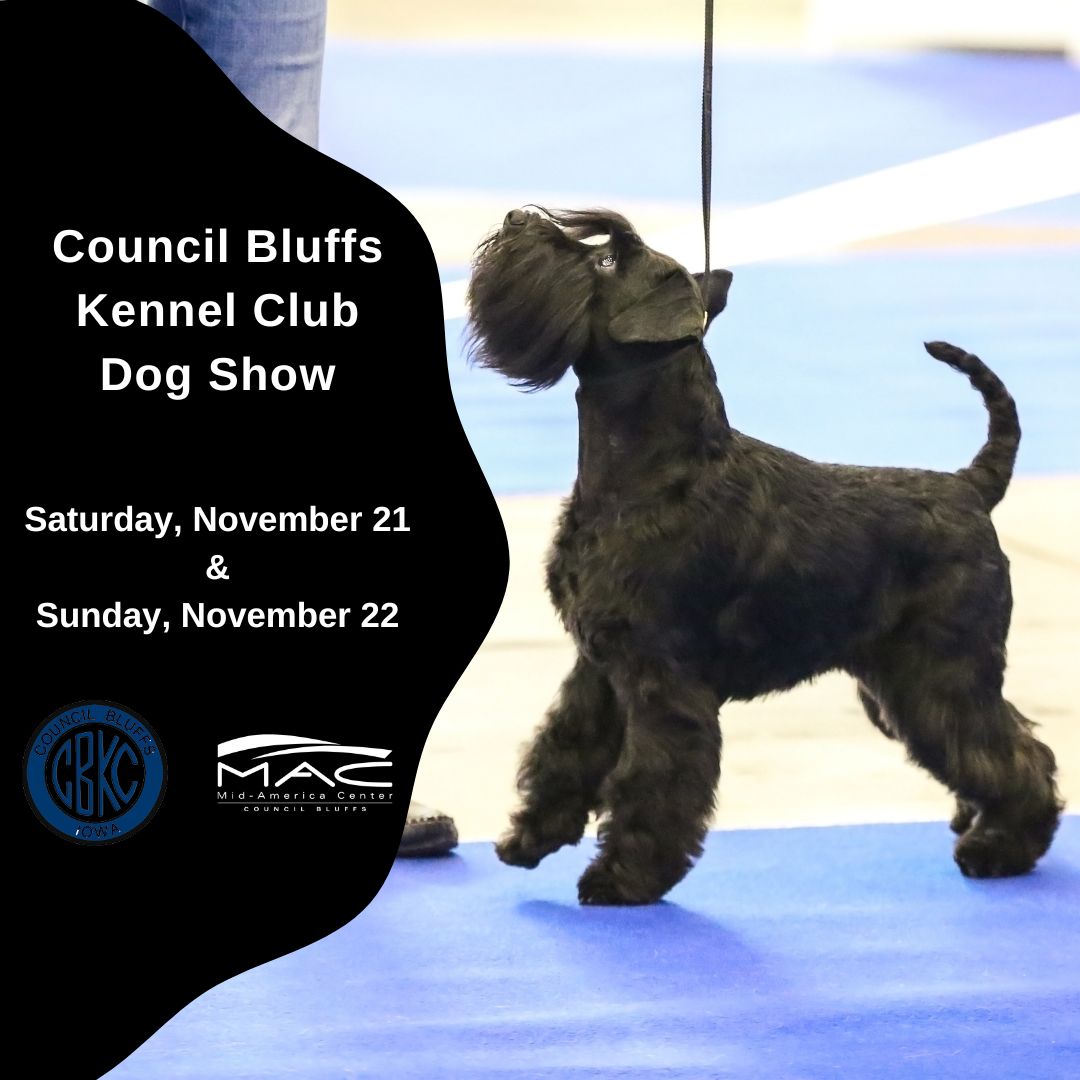 BackAtTheMac's tweet photo. Discover the excitement of the Council Bluffs Kennel Club Dog Show this November! Join us for a weekend filled with incredible dogs and thrilling competitions. 🐕
Learn more at https://t.co/5NT4ZzrXdc
#dogshow #backatthemac https://t.co/fxMlbXaPTw