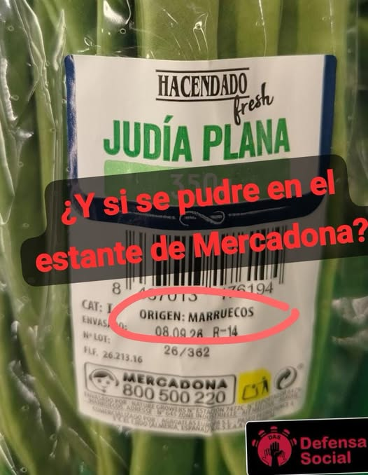 pepeluspain's tweet photo. https://t.co/wK0Hem8lGc