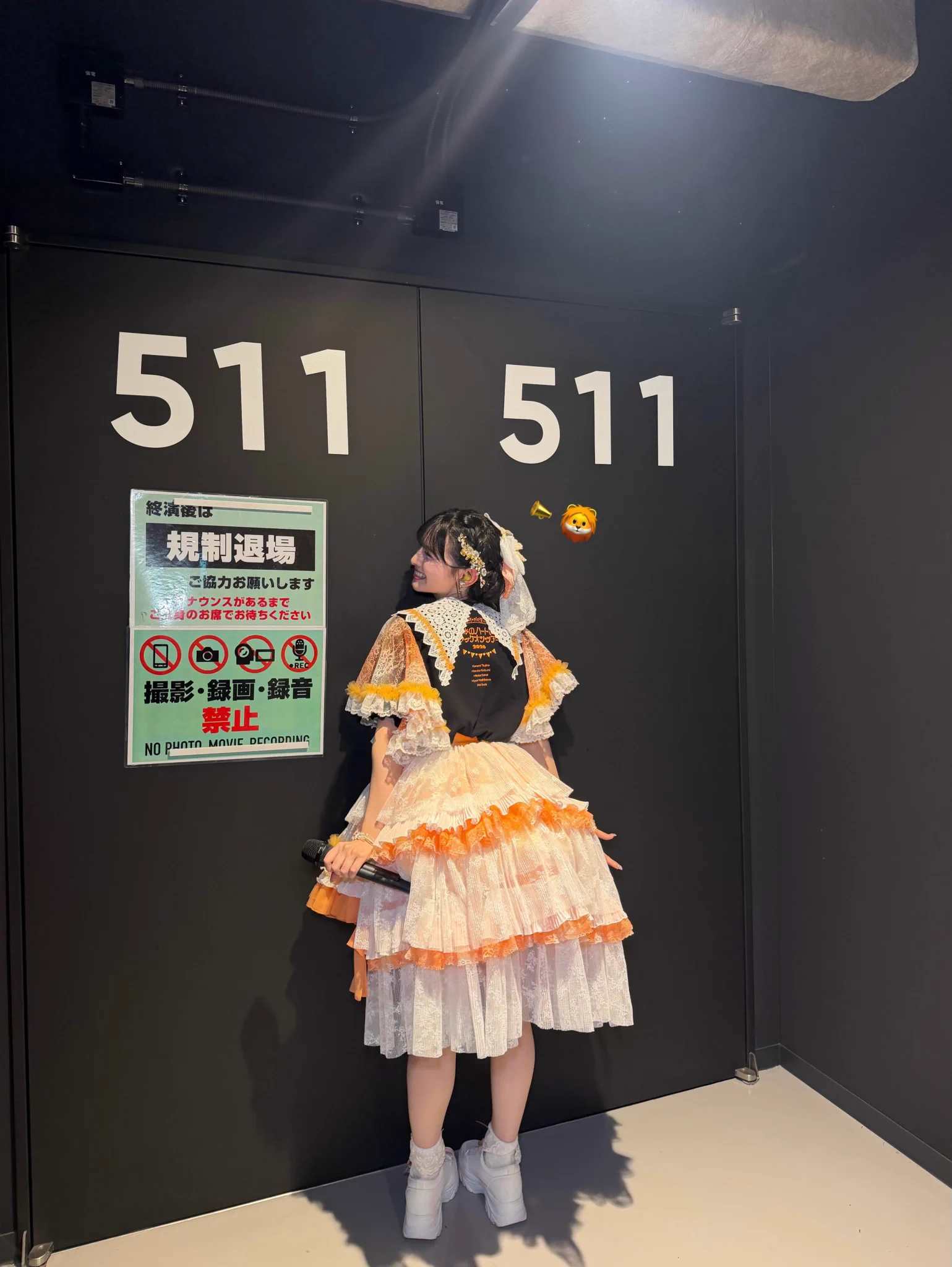 あーちゃんさん専用です。 ぶい on X: 