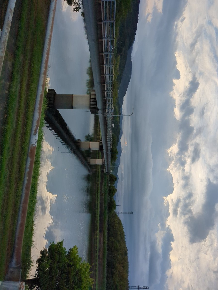 dansyu_S's tweet photo. 朝ラン気持ち良い https://t.co/ioK4ZwQJ1k