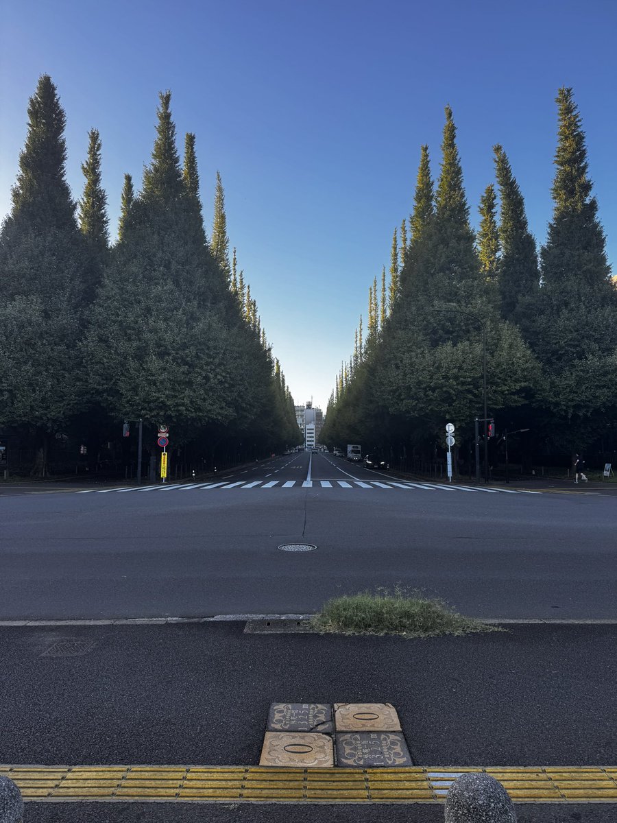 iorzz's tweet photo. 朝ランでした〜
今日は晴れかな☀️ https://t.co/g3wyrAZwUk