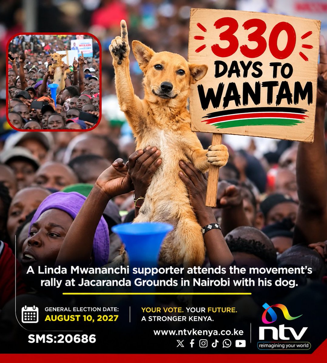 Wambuib4sky's tweet photo. APPROVED!! https://t.co/CIX9wneQXP
