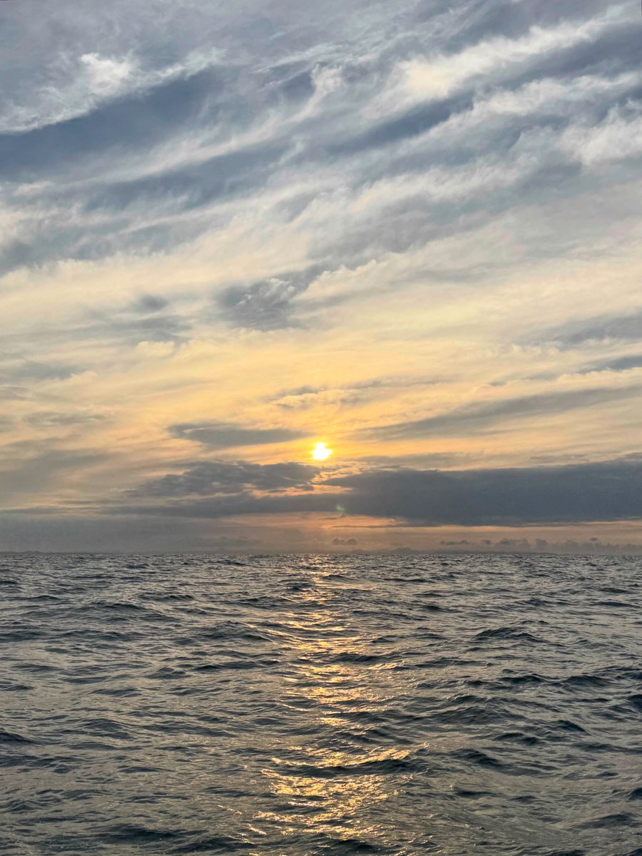 hage_fishing's tweet photo. おはようございます

今週のh a g eは

9/14(月) e
9/15(火) e
9/16(水)【定休日】
9/17(木) h
9/18(金) h
9/19(土)［早］e［遅］h
9/20(日) e［惟ちゃんday］

を予定しております　

【営業時間】 11:00 〜 19:00

e : enomoto
h : hatano

#hage
#fishing 
#fishingtackle 
#tokyo
#coffeeandbeer https://t.co/hAMBwIrvsG