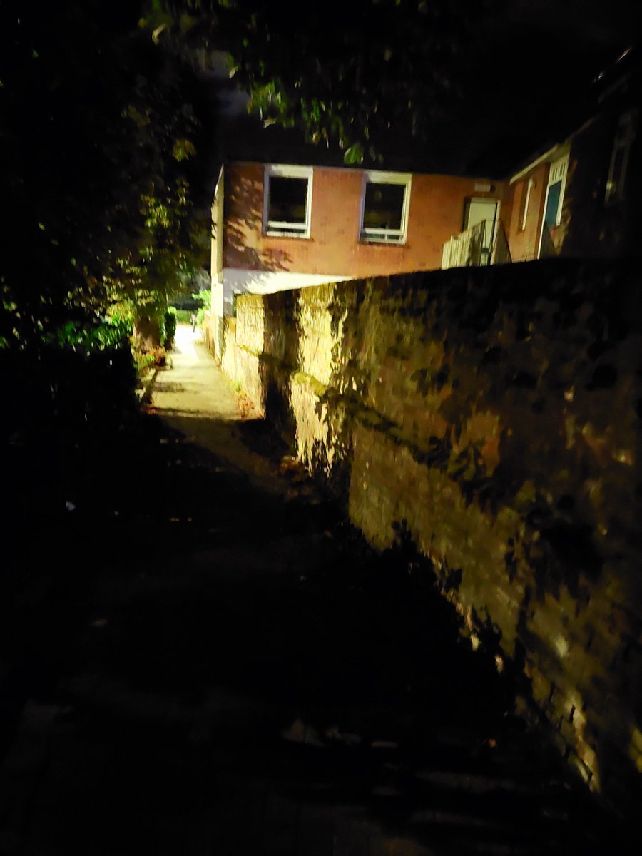 Haikubook1's tweet photo. Down this dark alley,
to the light but don't dally,
nor just take a stroll. 
#haiku #bishopstortford #poetry #darkalley #shadyplace https://t.co/QCQOy6lAgT