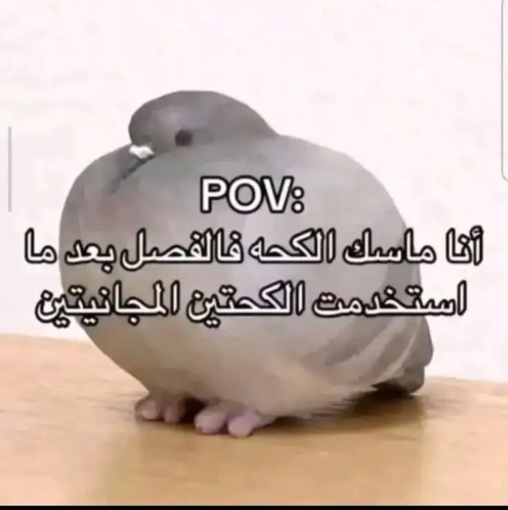 Ibraalo's tweet photo. @FRS9_ https://t.co/6UeZlfg2z4
