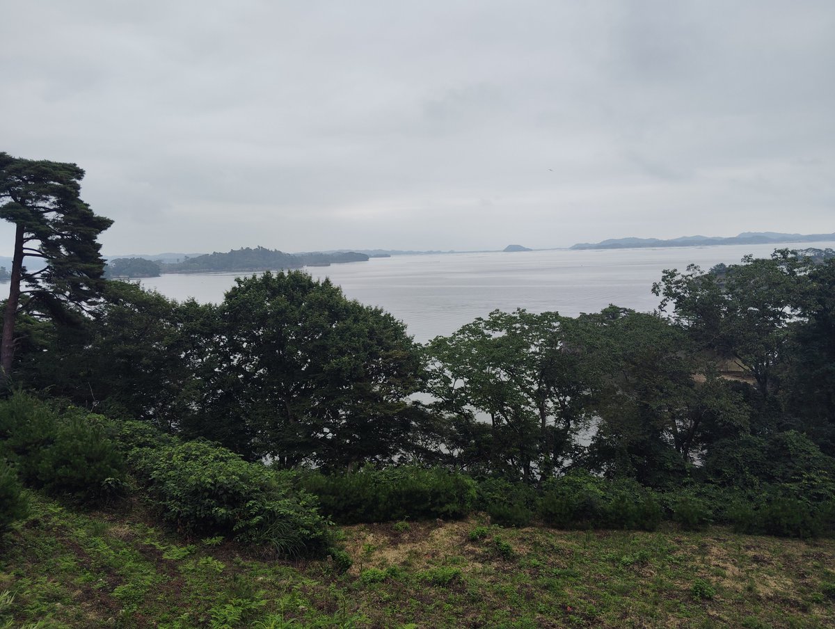 nomboo6's tweet photo. ここは松島　ブルーインパルスが練習飛行してました

日本三景:松島をドライブスルー　時間の関係でそうなりました　盆栽好きにはたまらない風景だなと思いながら

遊覧船は1度乗ったほうが松島の魅力が伝わりやすくて良いなと感じました
次来たら乗ってみようかしら
曇天だと魅力が伝えられませんね https://t.co/3ArIQ2vLSx