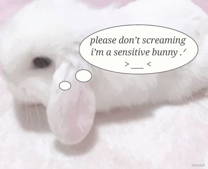 wiltedfawns's tweet photo. https://t.co/OZ7lv04IEp