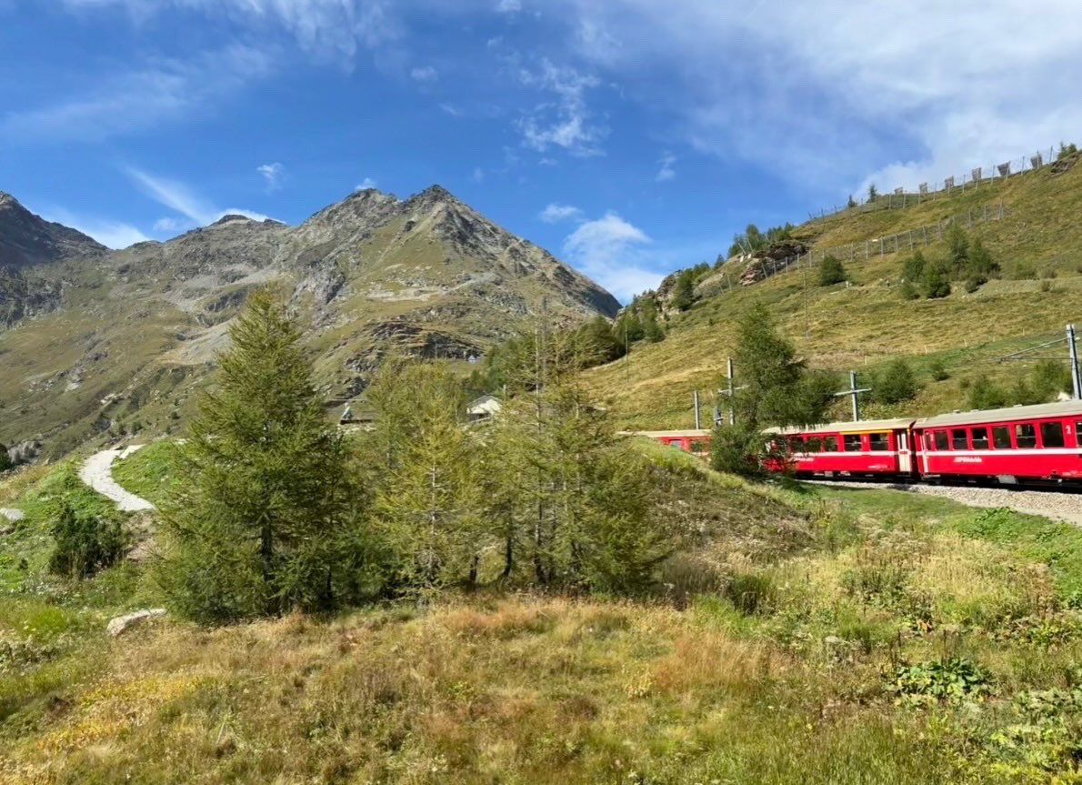 toyoakik's tweet photo. <スイス旅①>
イタリア、ティラノからレイティッシュ鉄道ベルニナ線でディアヴォレッツァへ！
展望台からはピッツ・ベルニナ(4048m)や氷河が良く見れました(^^)

#レイティッシュ鉄道ベルニナ線
#ディアヴォレッツァ展望台
#ピッツベルニナ https://t.co/NtU07XiUmC